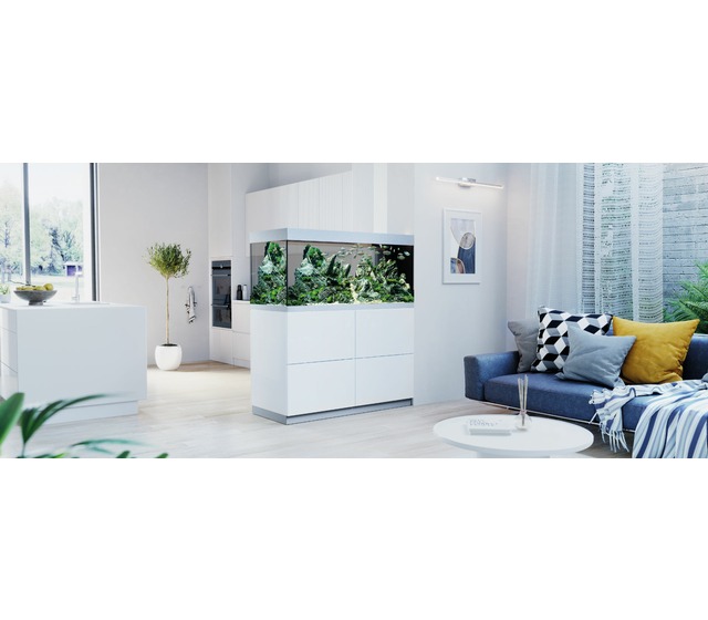 Image by Petonus | Aquarium & Terrarium Shop » Over 2,500 p