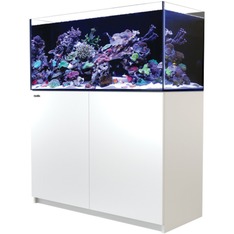 Red Sea Reefer 425 G3 weiss