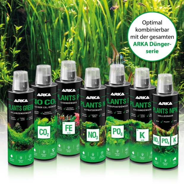 Arka Plants P