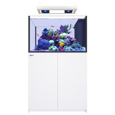 Red Sea REEFER MAX Peninsula 350 G3