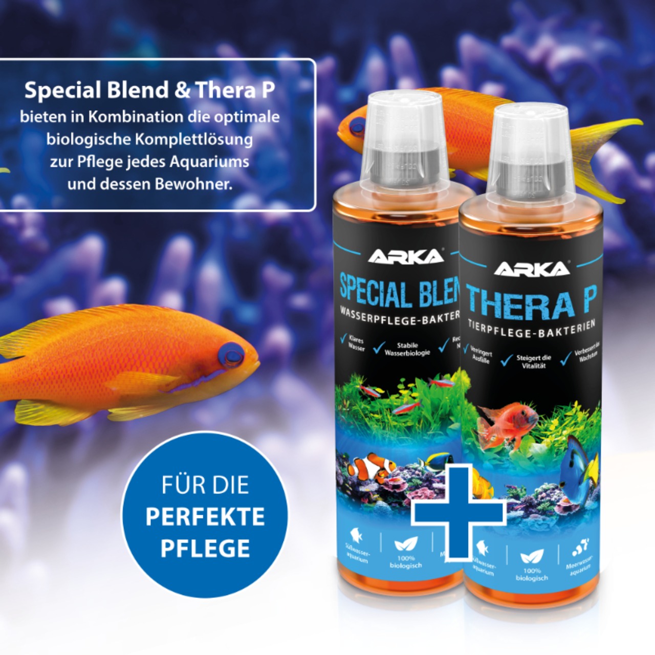 Arka THERA P 473ml