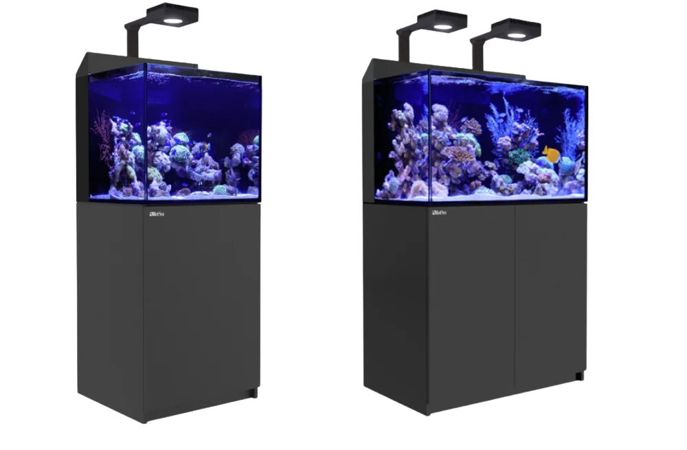 The Max Nano Systems