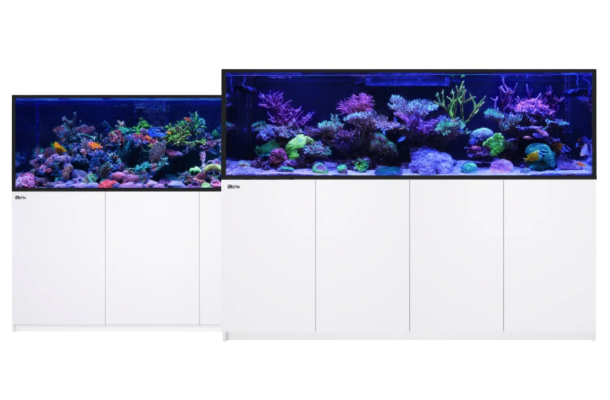 Red Sea Reefer S Variants
