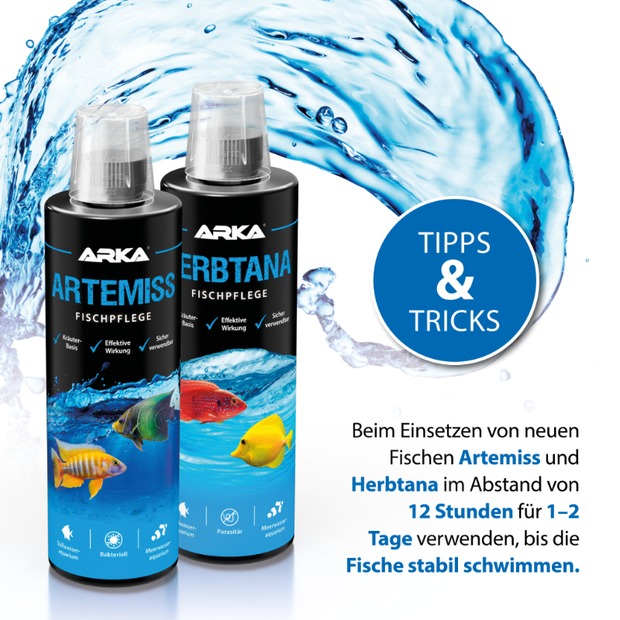 Arka Artemiss Immunstimulanz-B 473ml