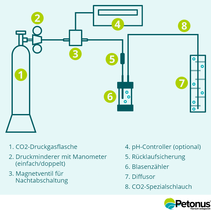 Setting Up a CO2 System with a Pressurized Gas Cylinder