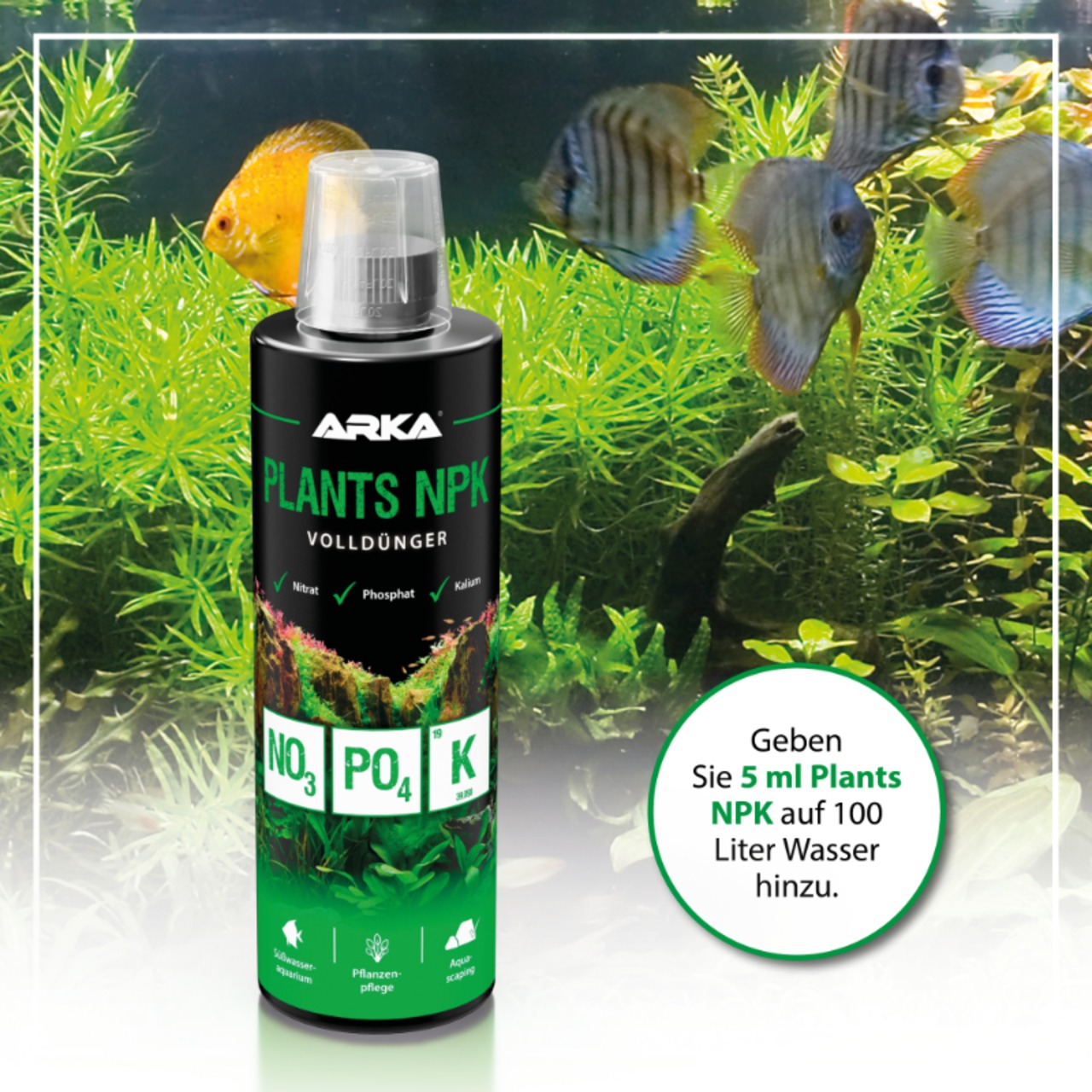 Arka Plants NPK