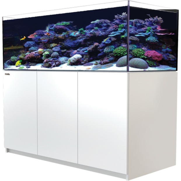 Red Sea Reefer 525 G3 weiss