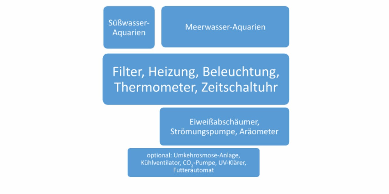 Checklist: What Equipment for the Aquarium?