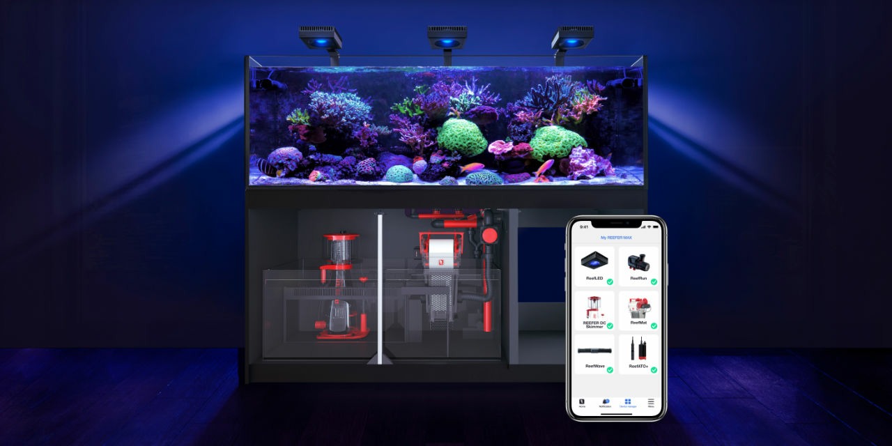 Saltwater Aquarium Complete Set