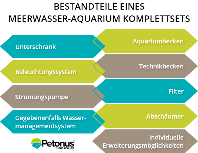 Components of a Complete Saltwater Aquarium Kit