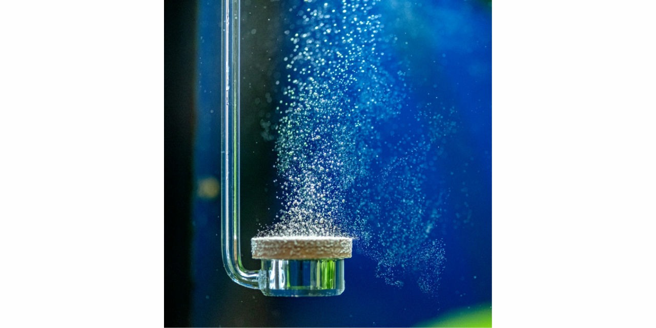 Carbon Dioxide Aquarium