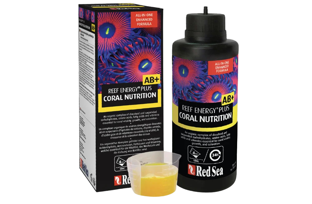 Nutritious coral food from Red Sea