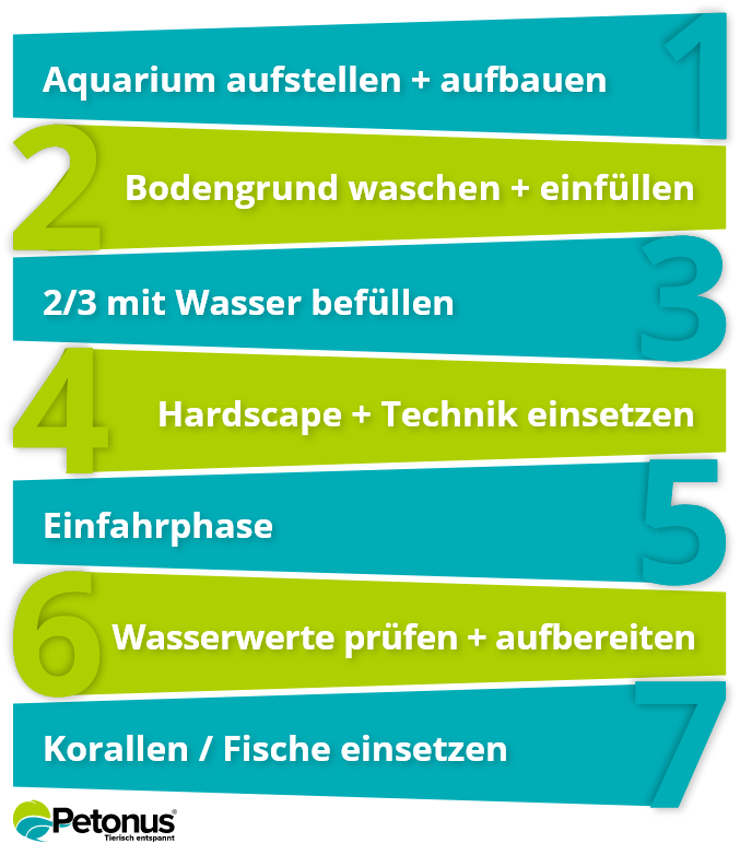 Step-by-Step Guide to Setting Up a Saltwater Aquarium