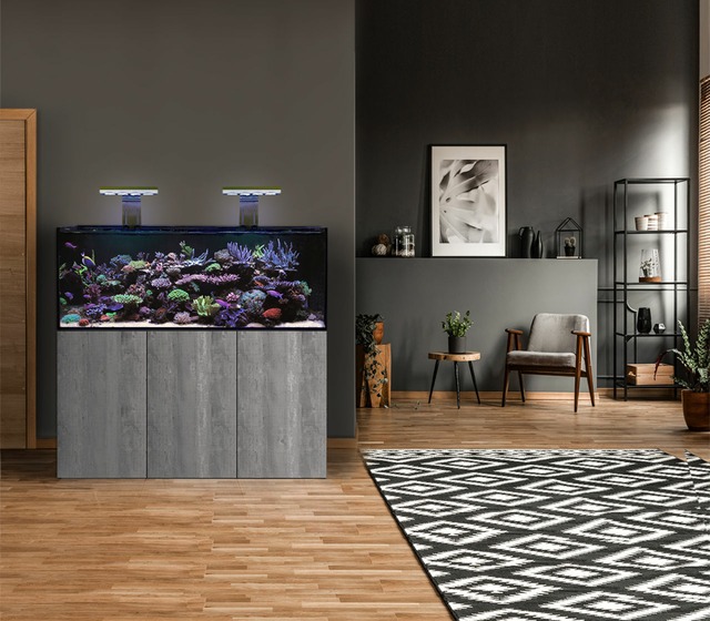 Image by D-D The Aquarium Solution 🐟 Saltwater / Freshwater