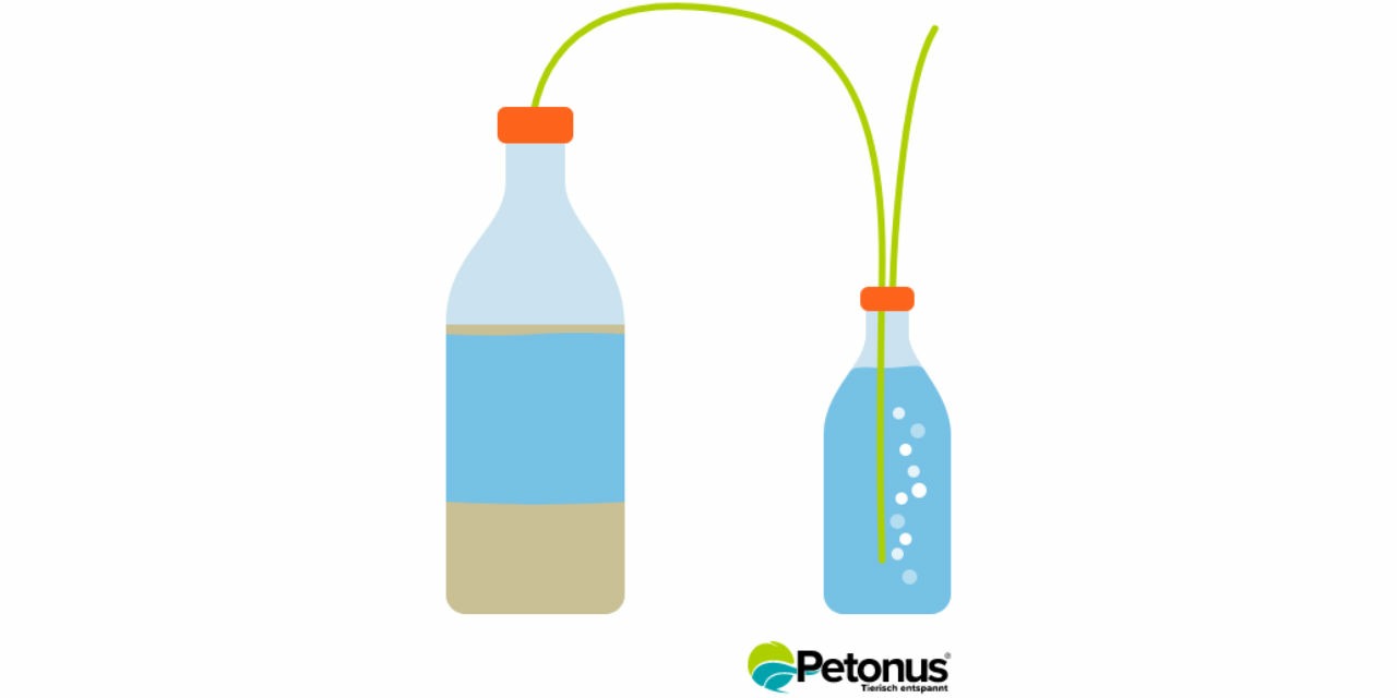 Building a DIY Biogas Plant