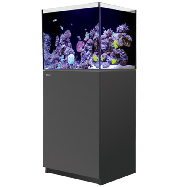 Red Sea Reefer 170 G3 schwarz