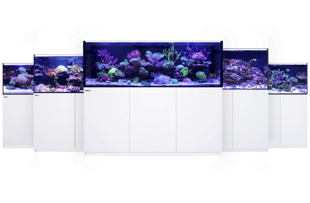 Red Sea Reefer G2 Models - Buy on Petonus.de