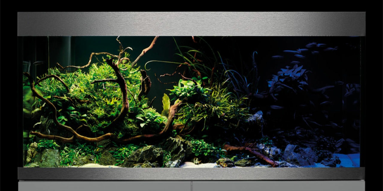 Oase HighLine Lighting