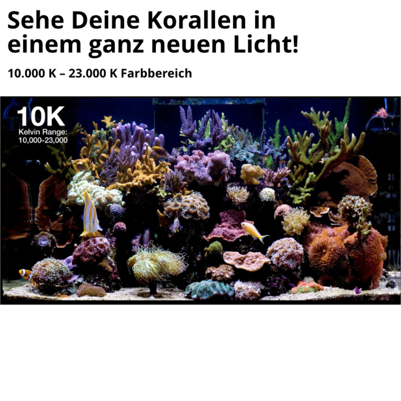 Red Sea ReefLED G2