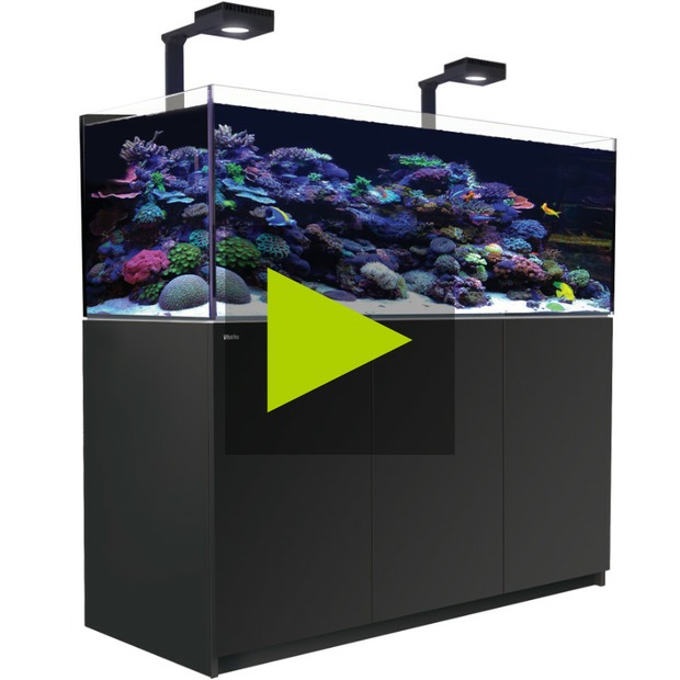 Red Sea Reefer 525 G3+ Deluxe schwarz