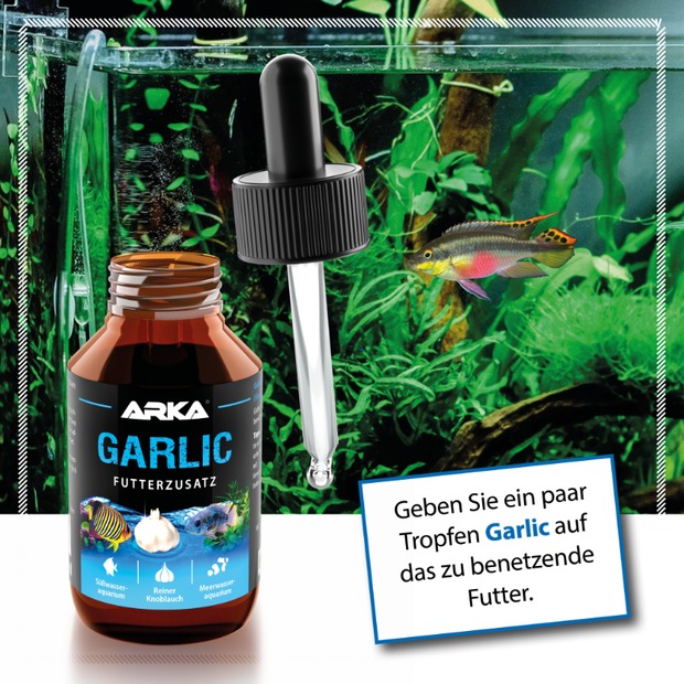 Arka Garlic