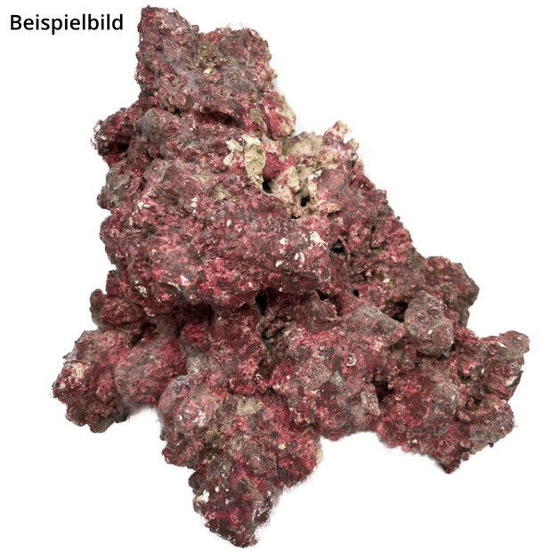 RealReef Rock 1 kg
