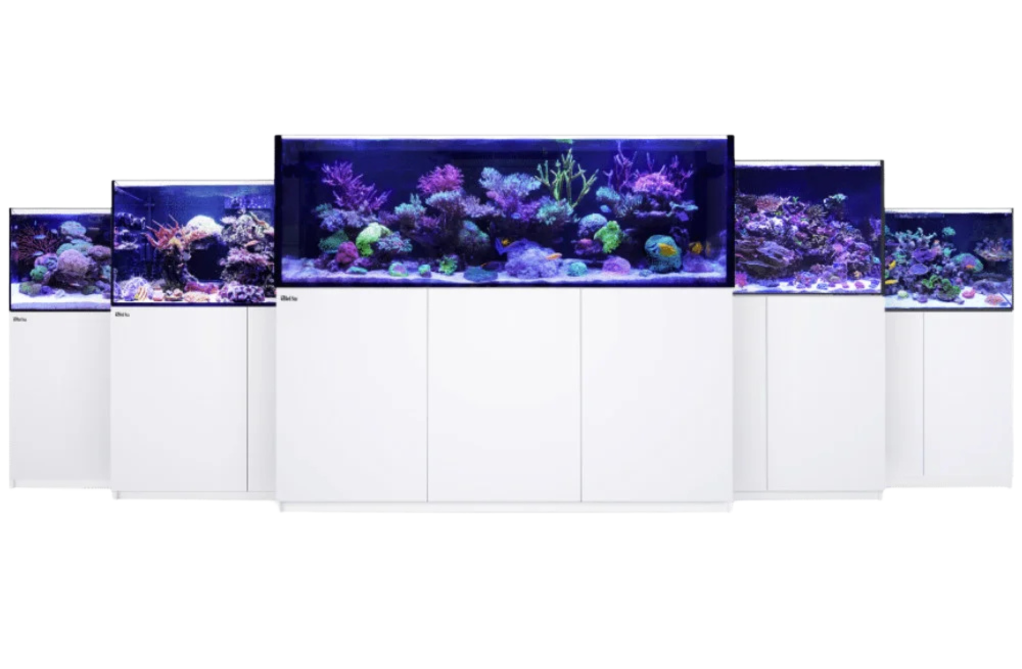 reefer-g2 models