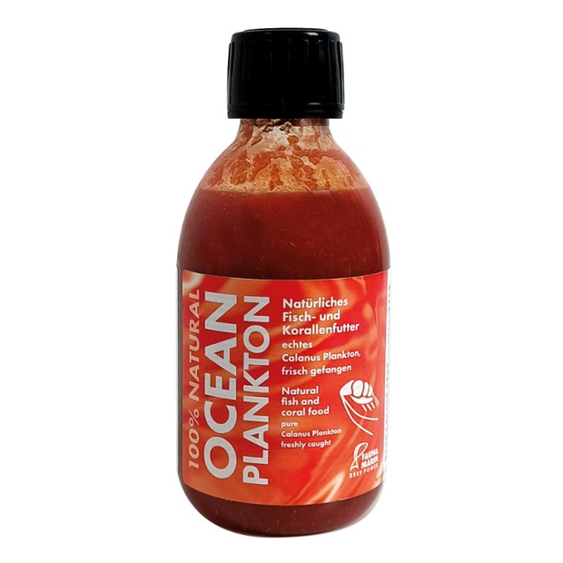 Fauna Marin Ocean Plankton