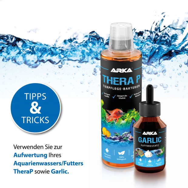 Arka Garlic