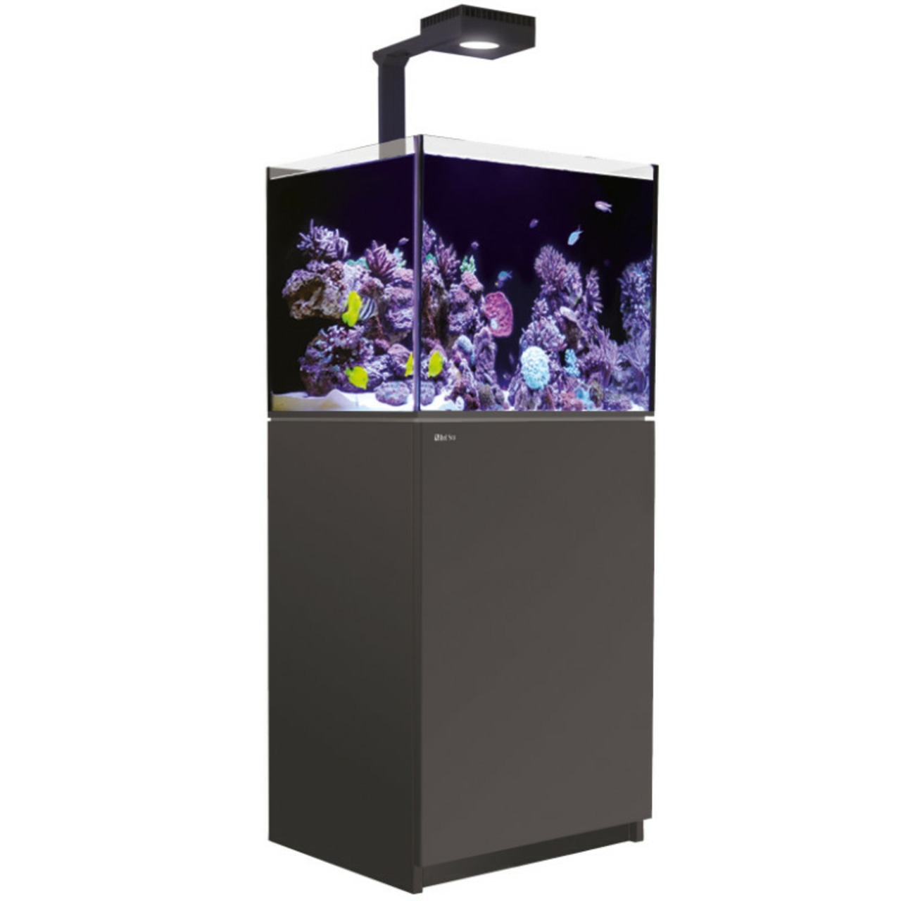 Red Sea REEFER MAX G3