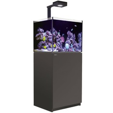Red Sea REEFER MAX G3