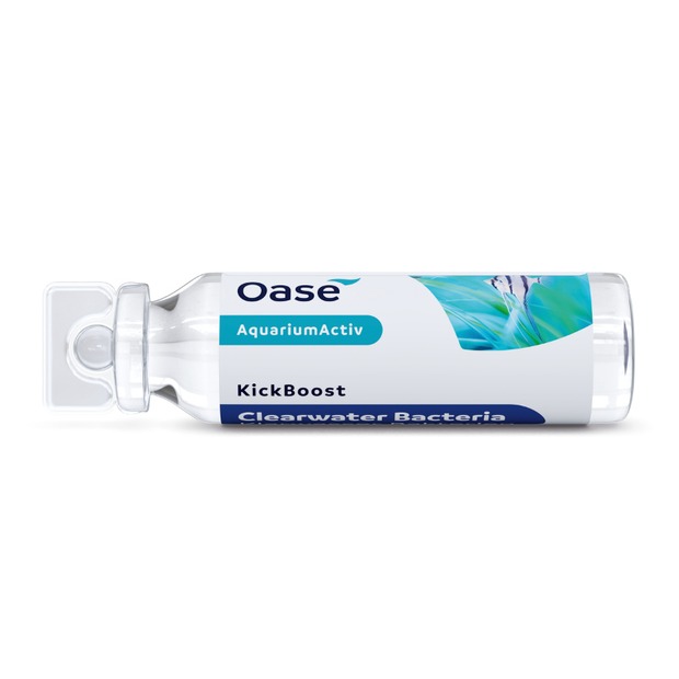 Oase KickBoost Klarwasser Bakterien