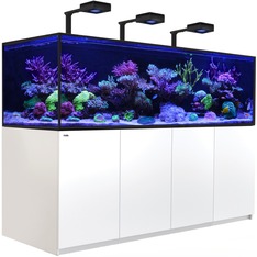 Red Sea REEFER MAX S G3