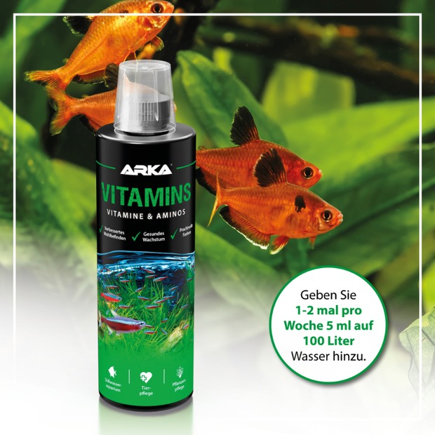 Arka Vitamine & Aminos 473ml