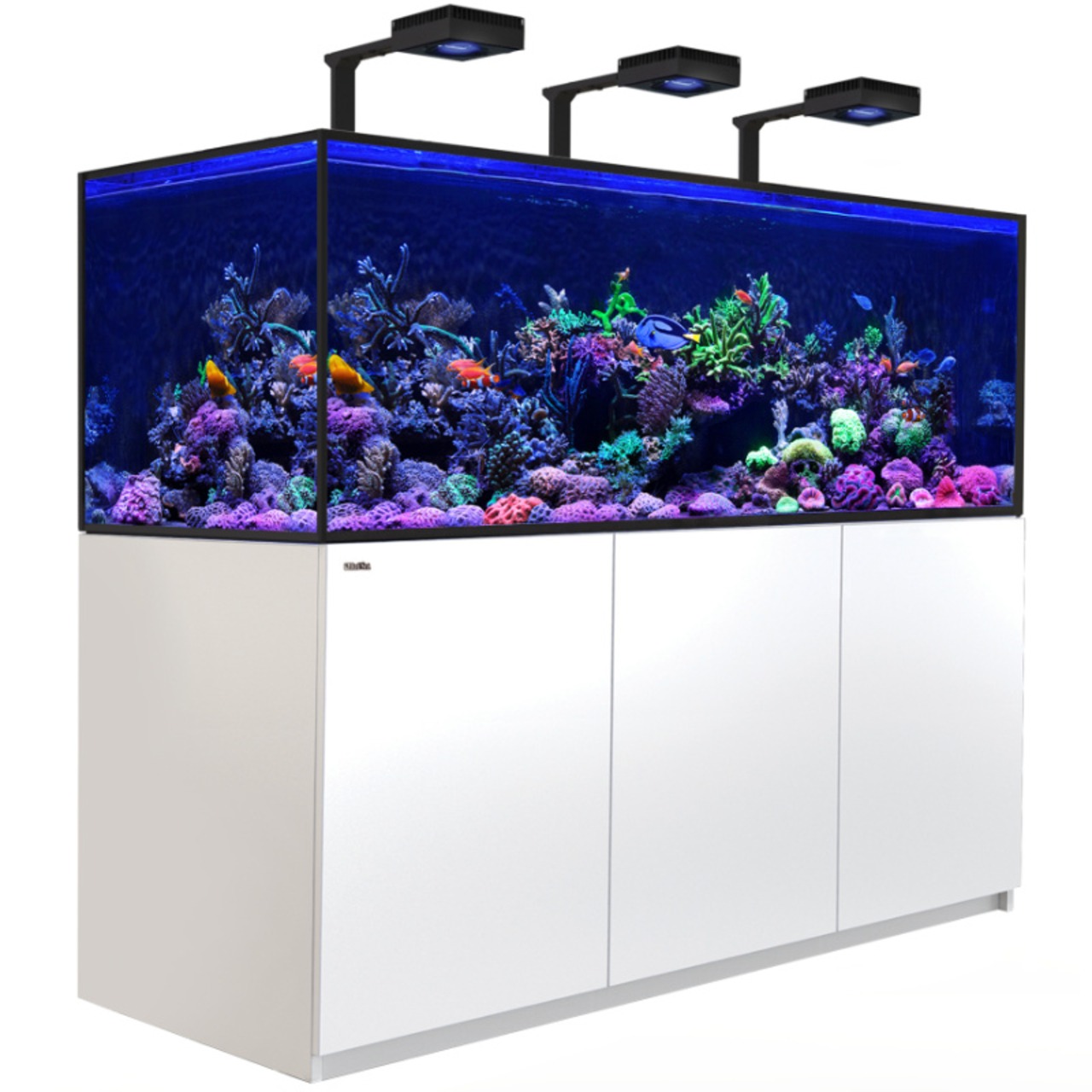 Red Sea REEFER MAX S G3