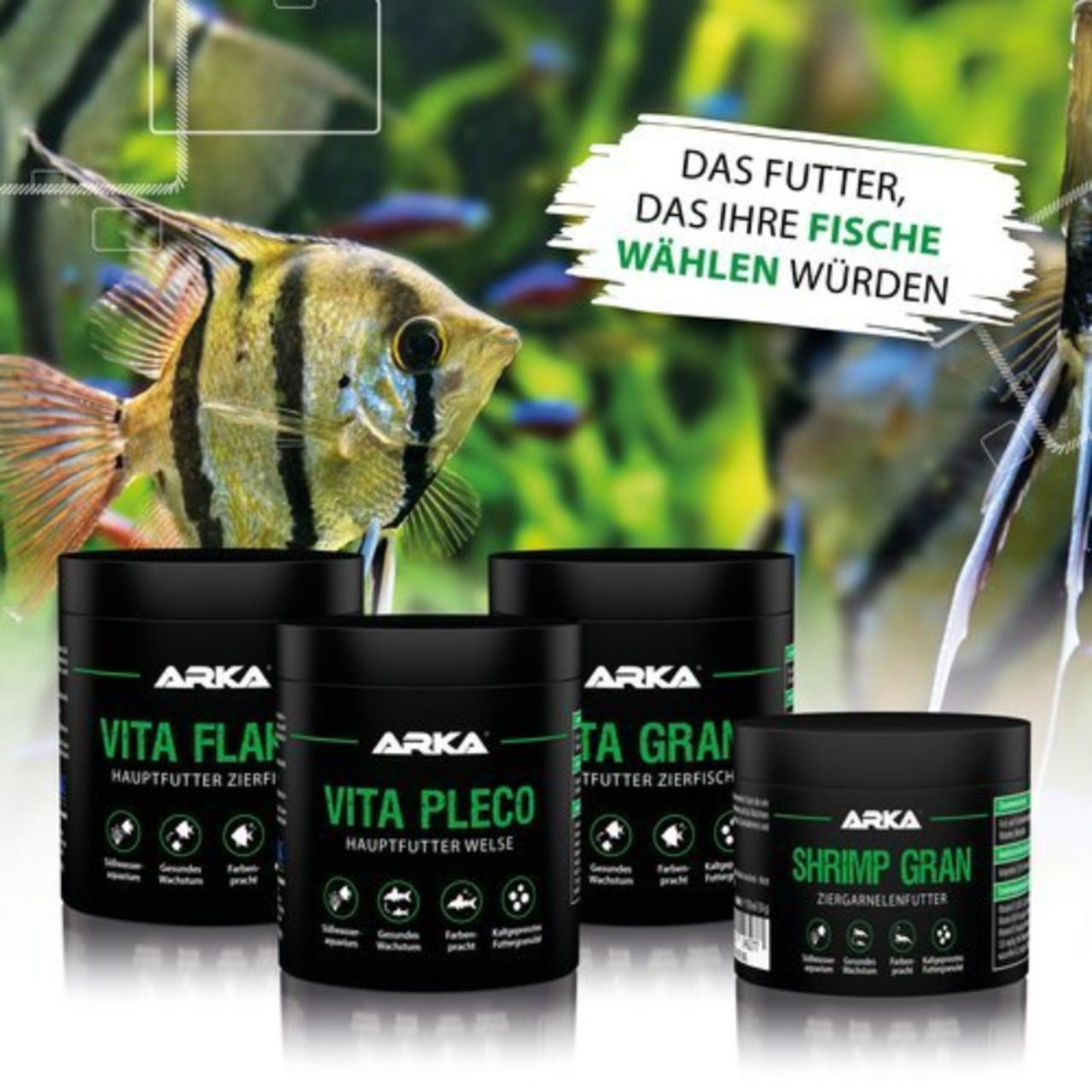Arka Vita Flakes