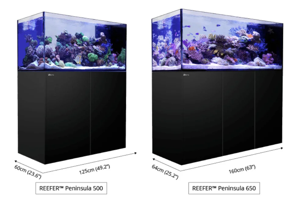reefer-peninsula-variants