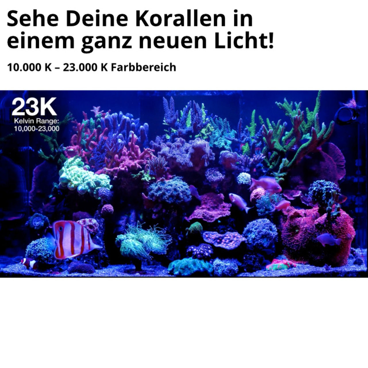 Red Sea ReefLED G2