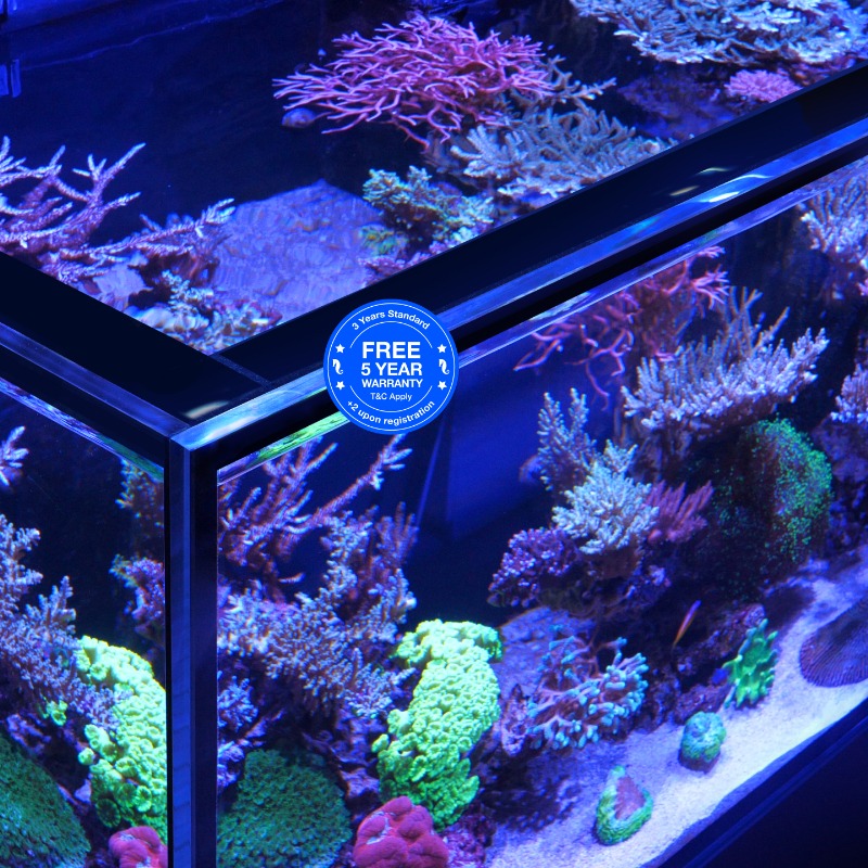 Red Sea Reefer Steg und Ultra-Klarglas