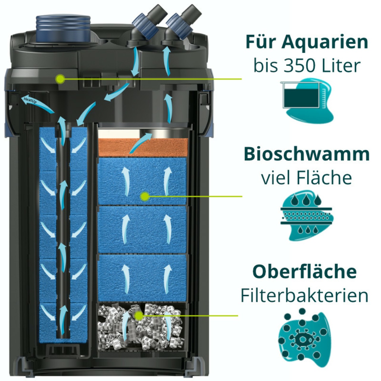 Oase BioMaster 350 G2