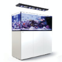 Online Store Icon