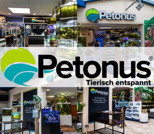 Image by About Us - Petonus.de 🐟 Your Aquarium Expert in Je