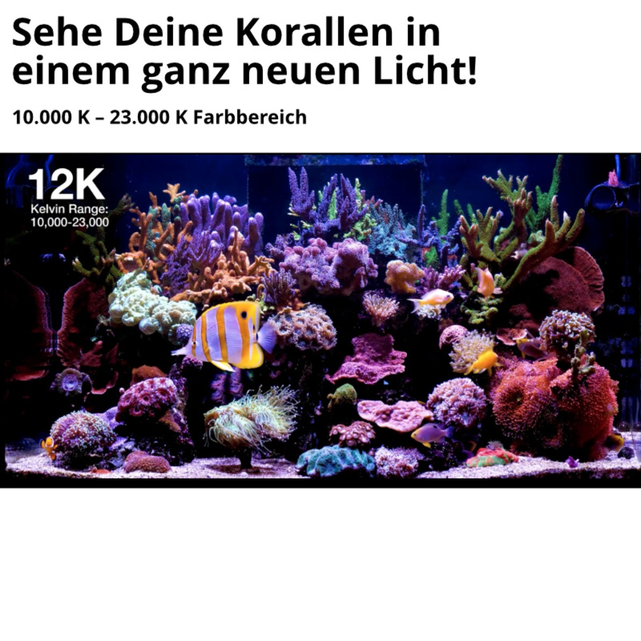 Red Sea ReefLED G2