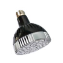 Lighting Icon